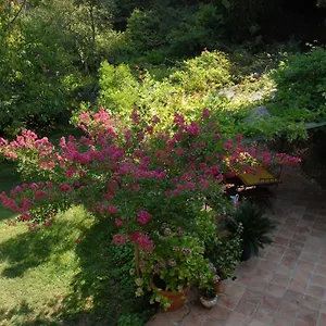 2* Bed & Breakfast D'hotes Il Monticello